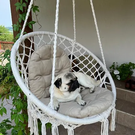 Country house Seosko Domacinstvo Lelic Ristivojevic